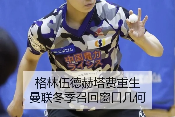 ge-lin-wu-de-he-ta-fei-chong-sheng-man-lian-dong-ji-zhao-hui-chuang-kou-ji-he-2-616.jpg